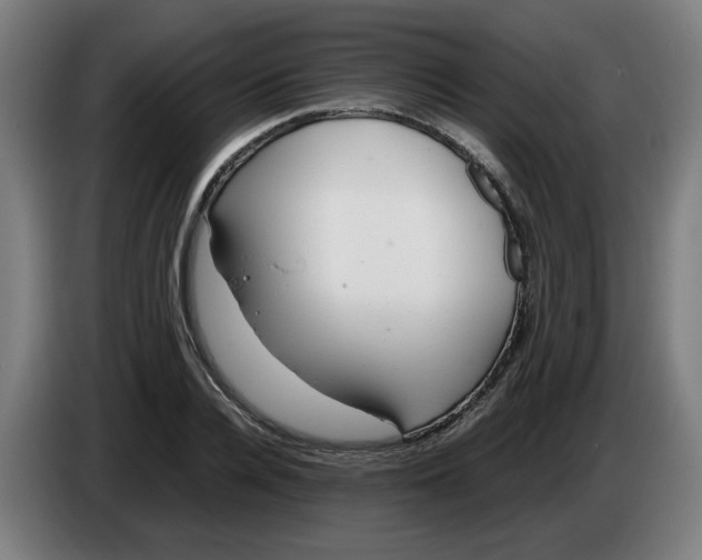 X0000086230936200704191756