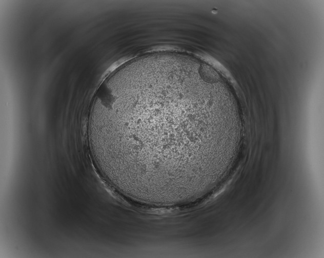 X0000086230937200704191756