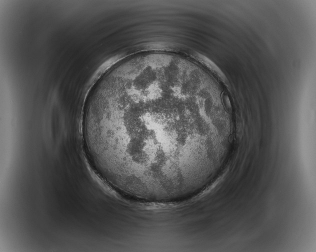 X0000086230938200704191757