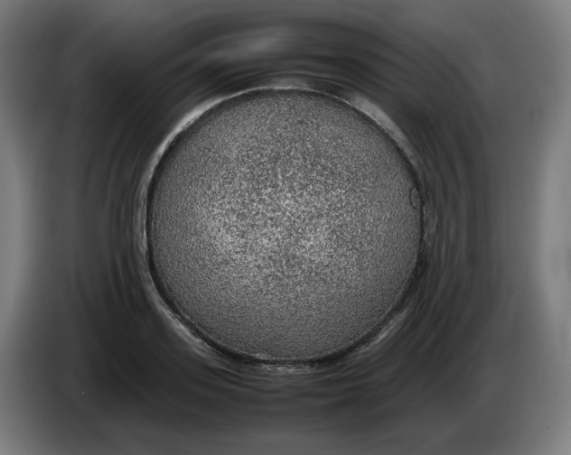 X0000086230939200704191757