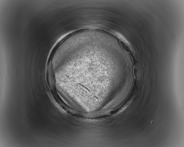 X0000086230940200704191757