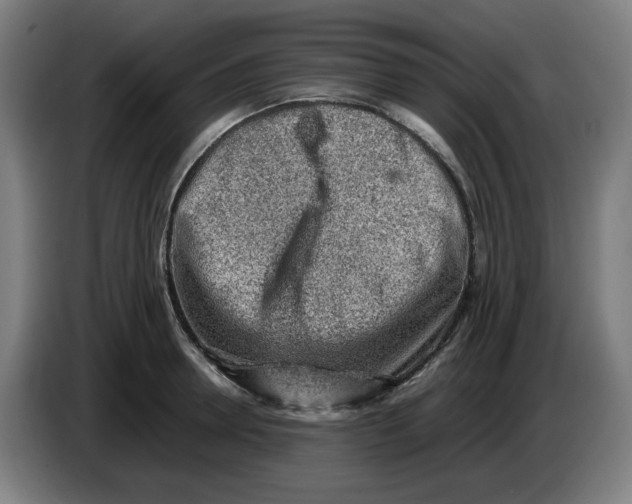 X0000086230946200704191757