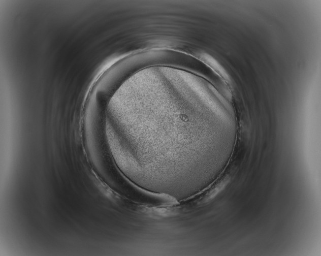 X0000086230948200704191757