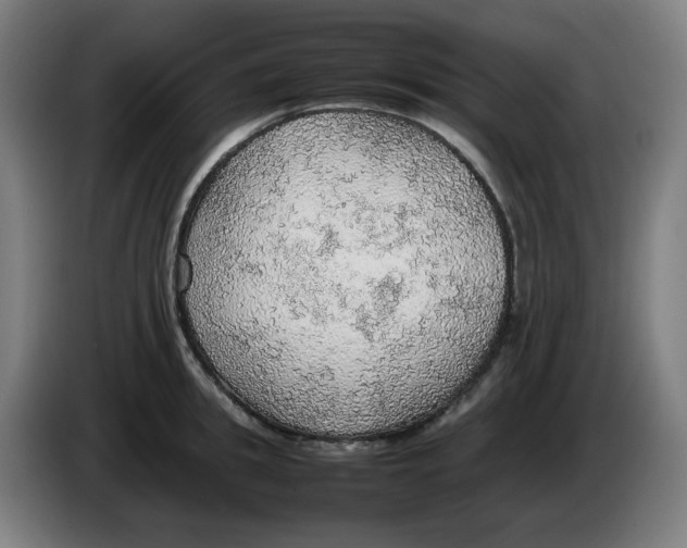 X0000086230949200704191757