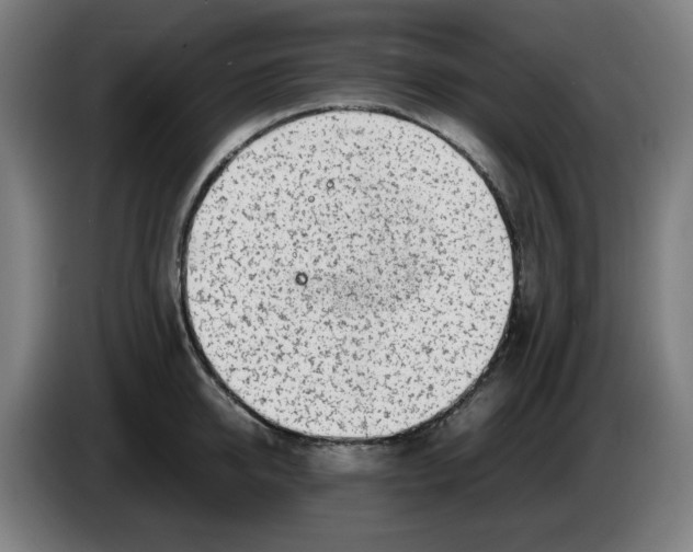 X0000086230950200704191757