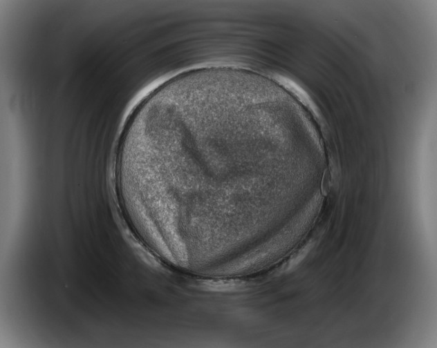 X0000086230952200704191757