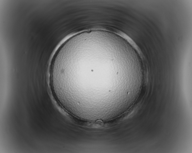 X0000086230955200704191757