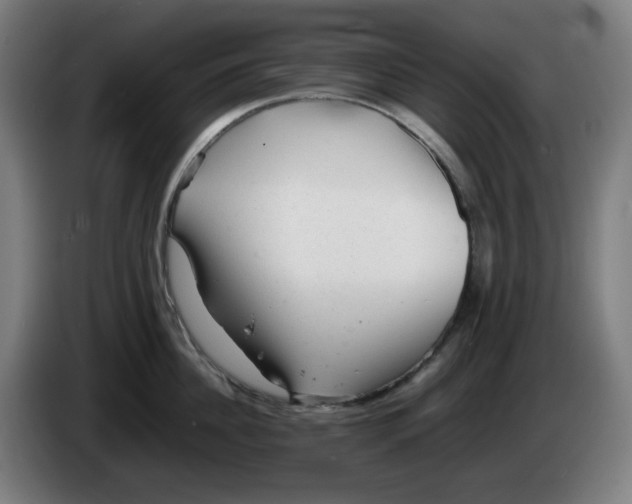 X0000086230956200704191757