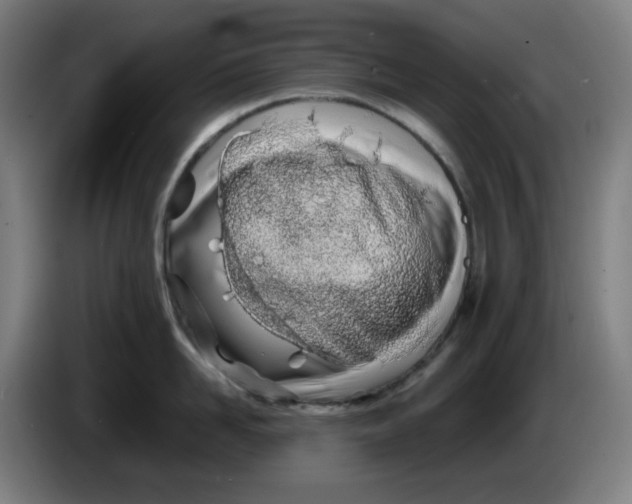 X0000086230958200704191757