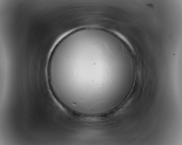 X0000086230959200704191757