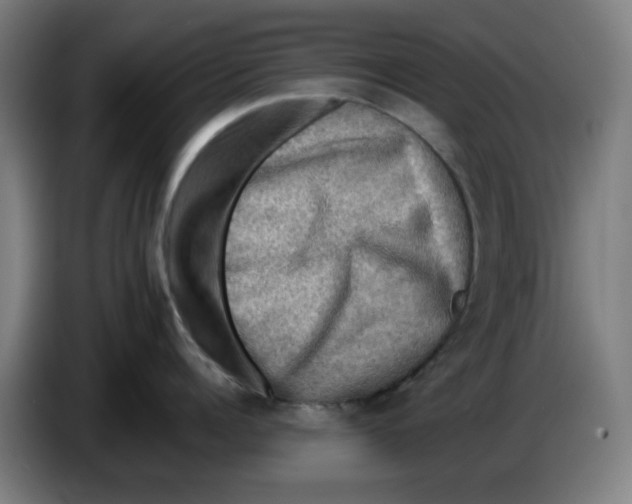 X0000086230960200704191757