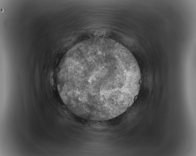 X0000086230962200704191756