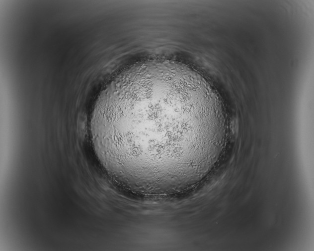 X0000086230963200704191756