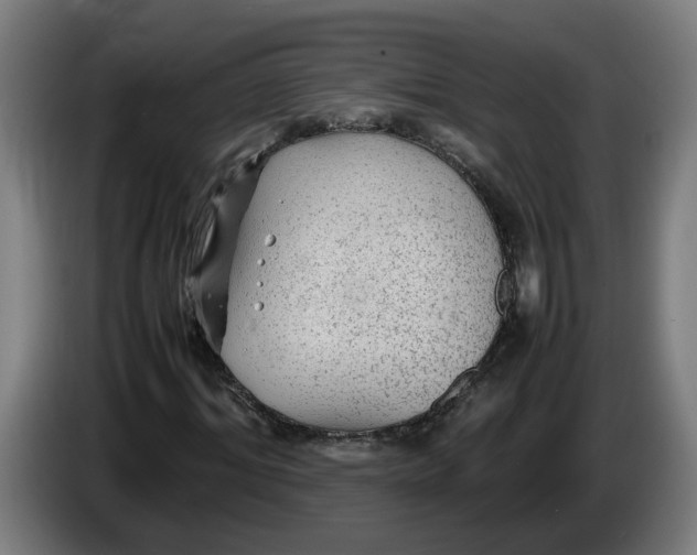 X0000086230964200704191756