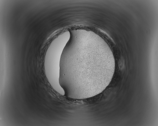 X0000086230968200704191756