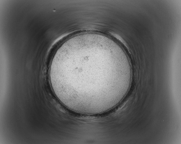 X0000086230971200704191756