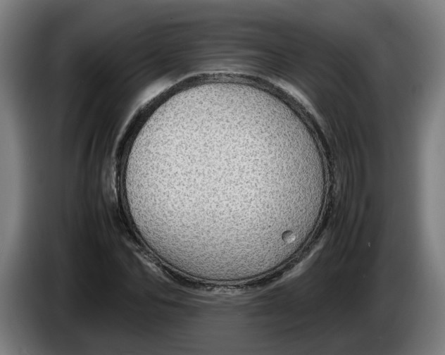 X0000086230974200704191756