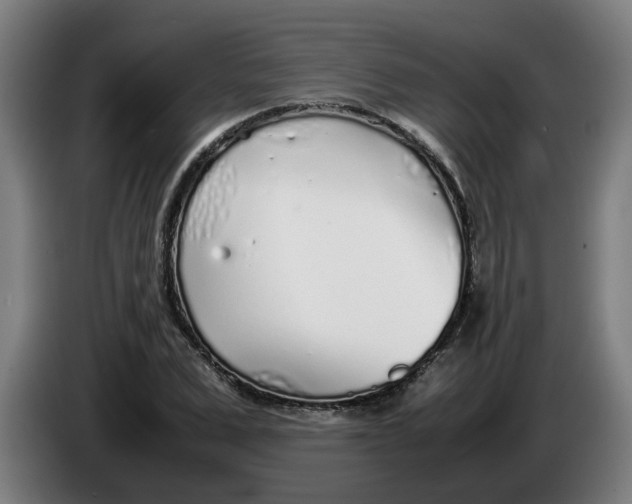 X0000086230975200704191756