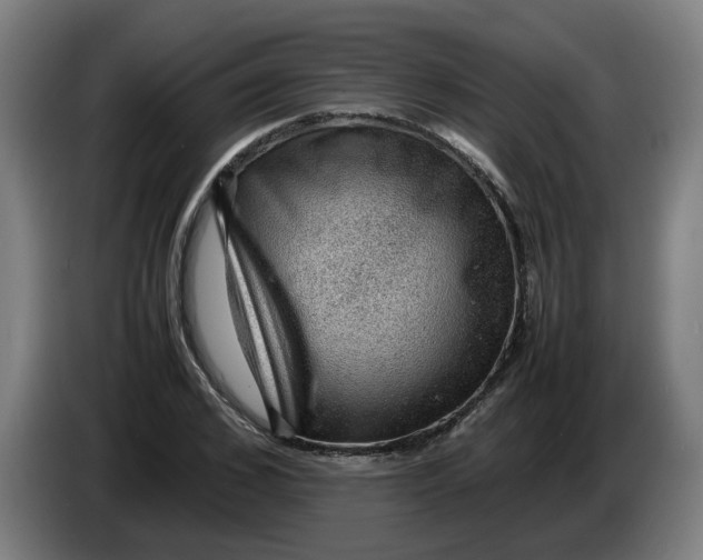 X0000086230976200704191756