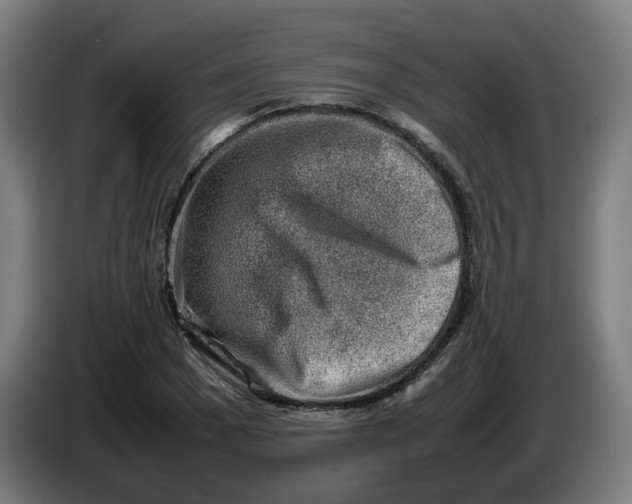 X0000086230977200704191756