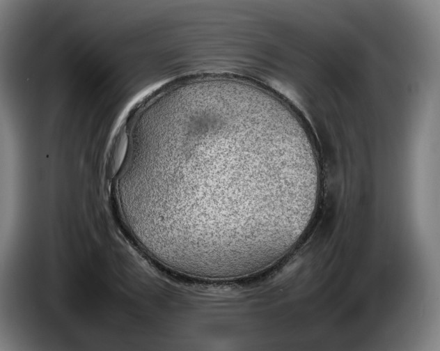 X0000086230979200704191756