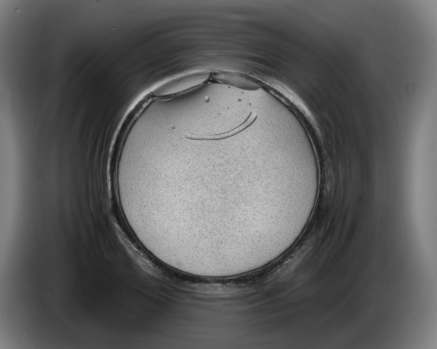 X0000086230980200704191756