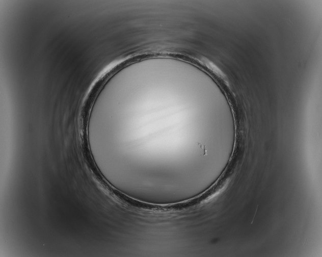 X0000086230981200704191756