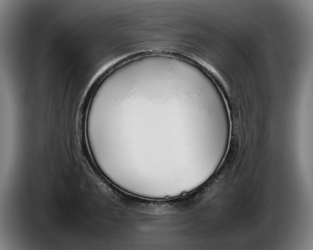 X0000086230983200704191756