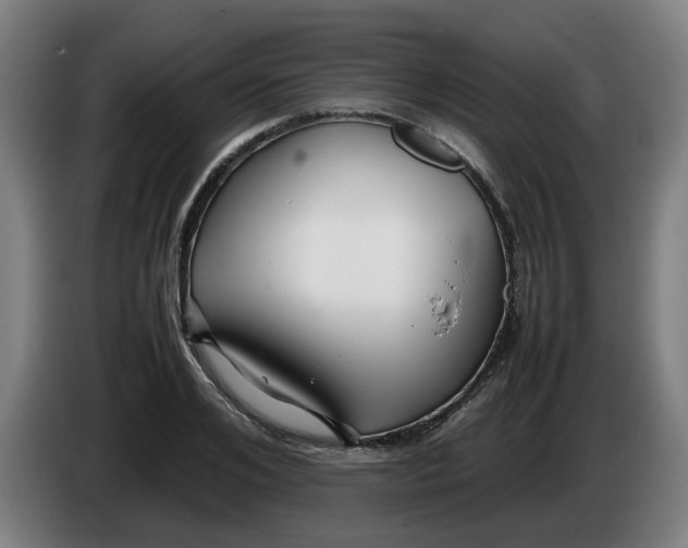 X0000086230984200704191756