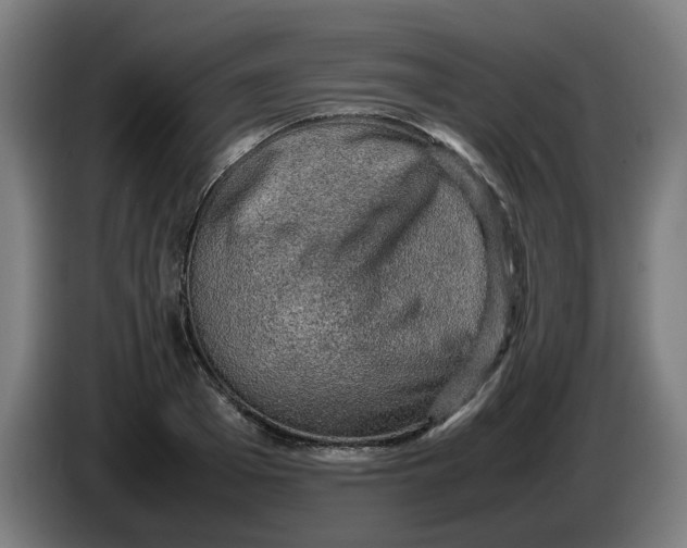 X0000086230985200704191756