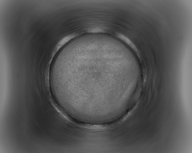 X0000086230986200704191756