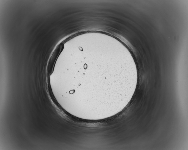 X0000086230988200704191756