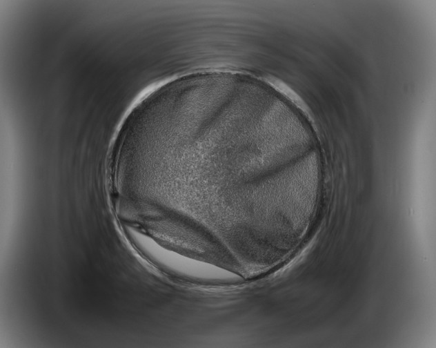 X0000086230989200704191756