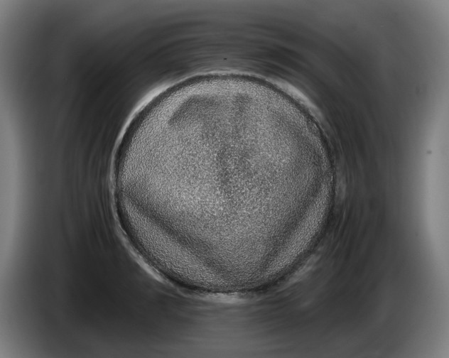 X0000086230990200704191756