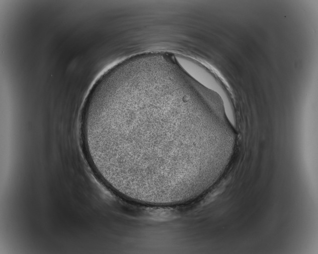 X0000086230991200704191756