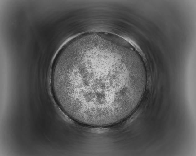 X0000086230992200704191756