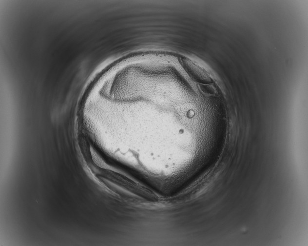 X0000086230998200704191756