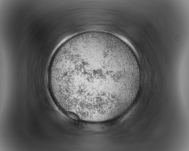 X0000086230999200704191756