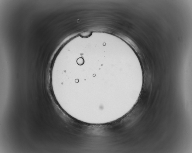 X0000086231000200704191756