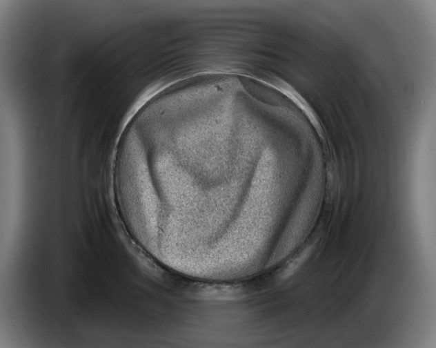 X0000086231002200704191756