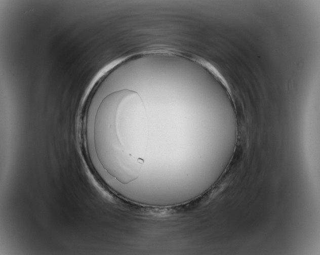 X0000086231003200704191756