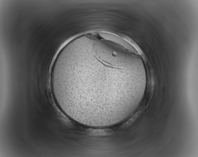 X0000086231004200704191756