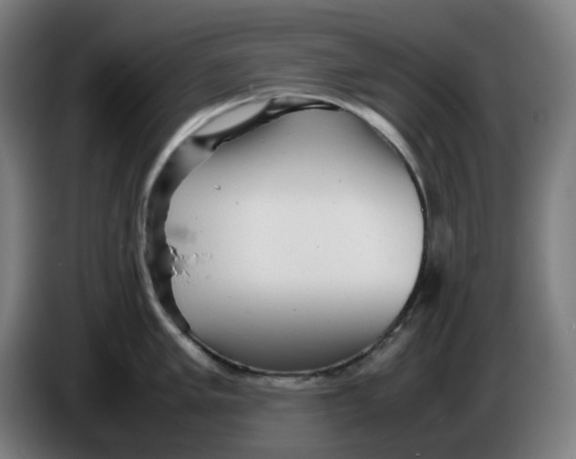 X0000086231005200704191756