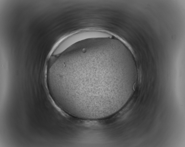 X0000086231006200704191756