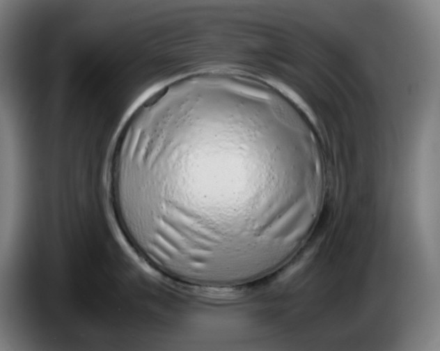 X0000086231007200704191756