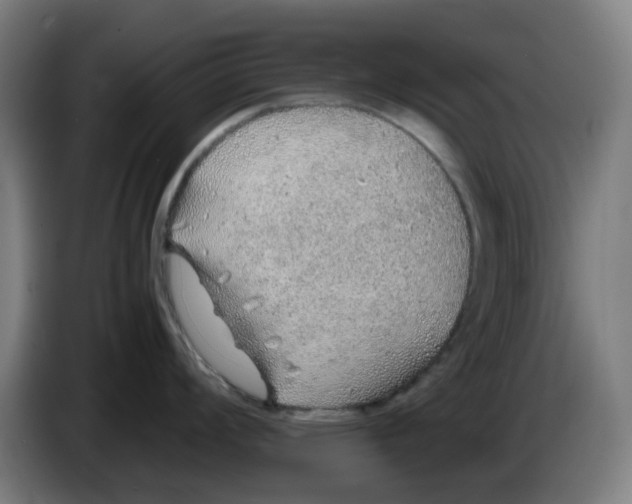 X0000086231008200704191755