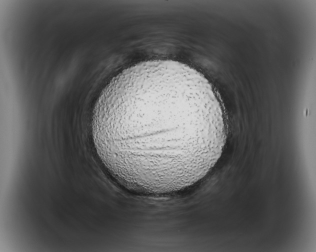 X0000086231009200704191755