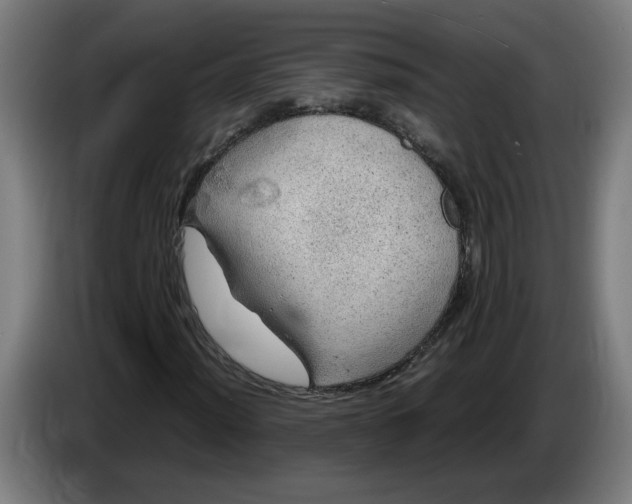 X0000086231012200704191755