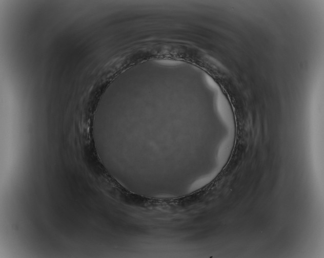 X0000086231013200704191755