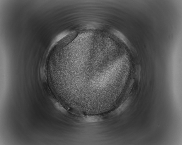 X0000086231018200704191755